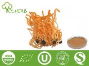 Estratto di Cordyceps