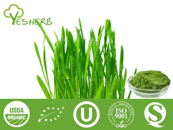 Wheat Grass Juice polvere - Super Foods