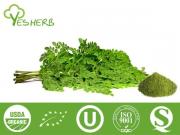 Moringa Leaf Powder