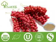 Schisandra Extract