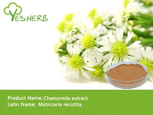 Chamomile Extract - Pigenin 1%-5%