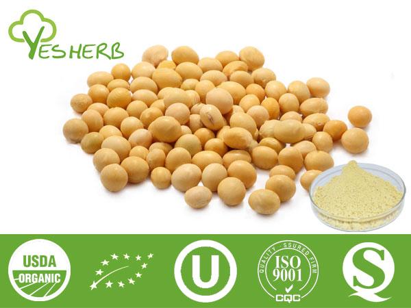 Soybean Extract - Soybean Isoflavone 40%, Soy lecithin 90%-98%,Daidzein 98%