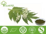 Valerian Extract