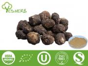 Maca Root Extract