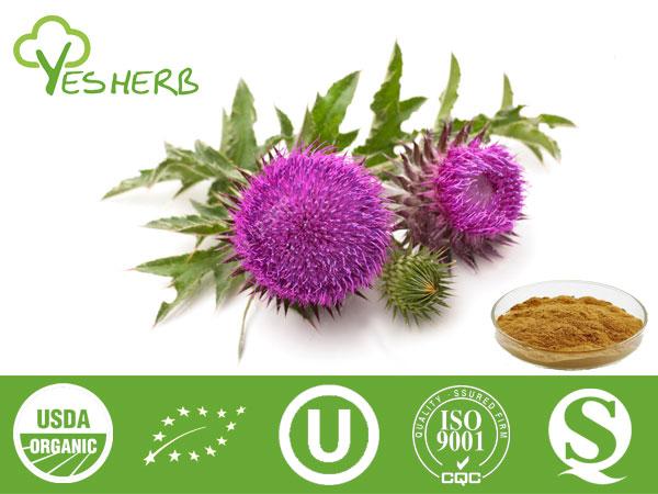 Milk Thistle Extract - Silymarin 80%, Silybin 10%-30%