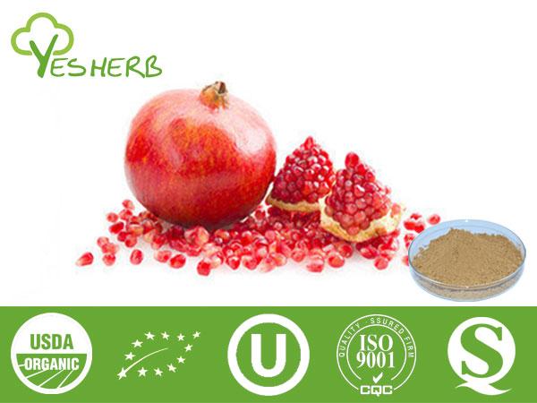 Pomegranate Extract - Polyphenols 40%,45%;Punicalagins 20%-40%;Ellagic Acid 40%-90%