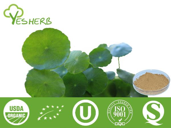 Centella Asiatica Extract - Asiaticoside 20%-80%, Asiatic Acid 95%