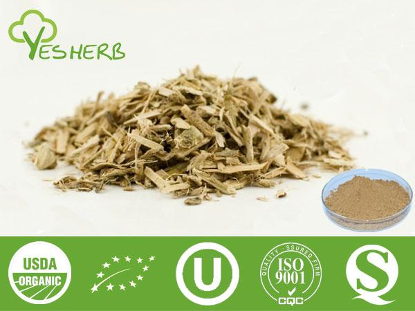 White Willow Bark Extract - Salicin 15%-98%