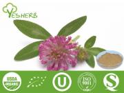 Red Clover Extract