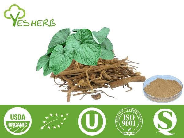 Kava Extract - Kavalactones 10%-30%