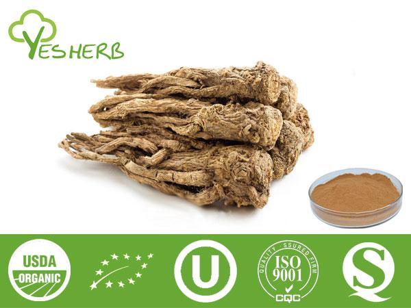 Angelica Extract - Ligustilide 1%