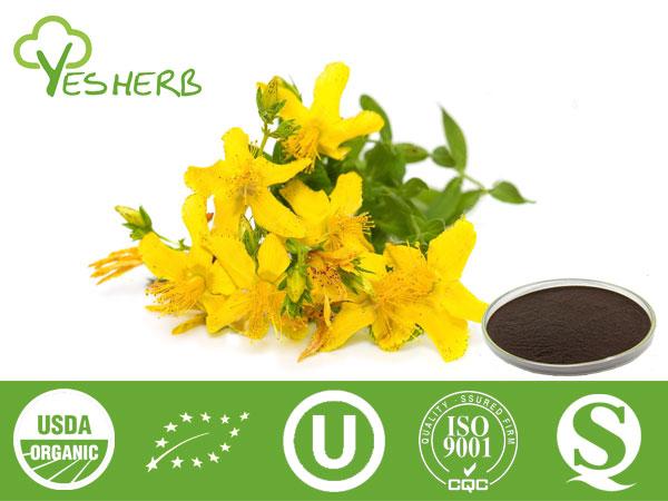 Hypericum Perforatum Extract - Hypericin 0.3%