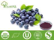 Blueberry Extract