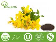 Hypericum Perforatum Extract