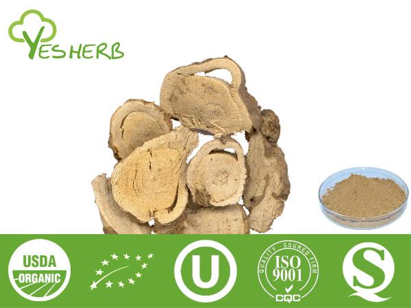 Sophora Root Extract - Matrine 10%-98%