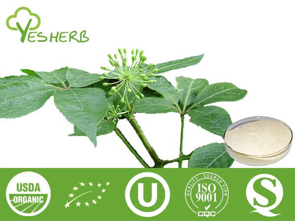 Eleuthero Extract - Eleutheroside 0.8%, 1.0%, 1.2%, 1.5%