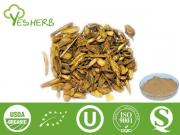 Scutellaria Baicalensis Root Extract