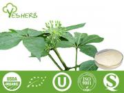 Eleuthero Extract