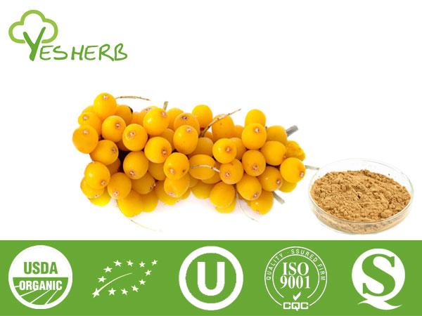 Seabuckthorn Powder - Juice Powder