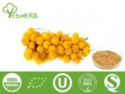 Seabuckthorn Powder