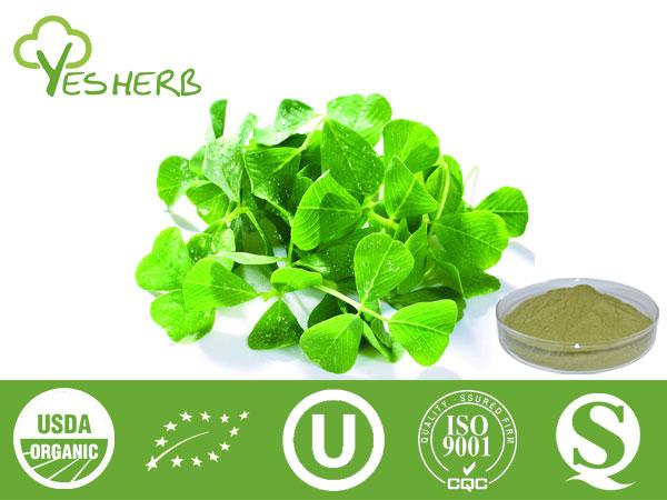 Alfalfa Powder - Vegetable Powder