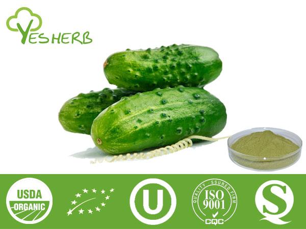 Cucumber Powder - Vegetable Powder