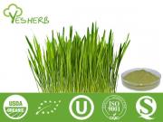 Barley Grass Juice Powder