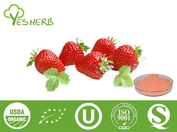 Strawberry Powder - Juice Powder