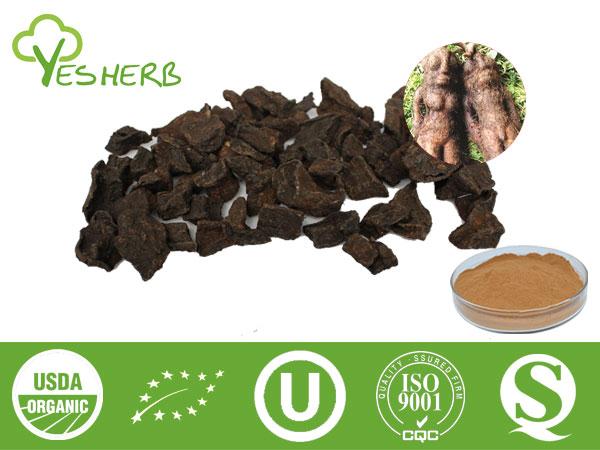 Radix polygoni multiflori extract - 4:1,5:1,10:1