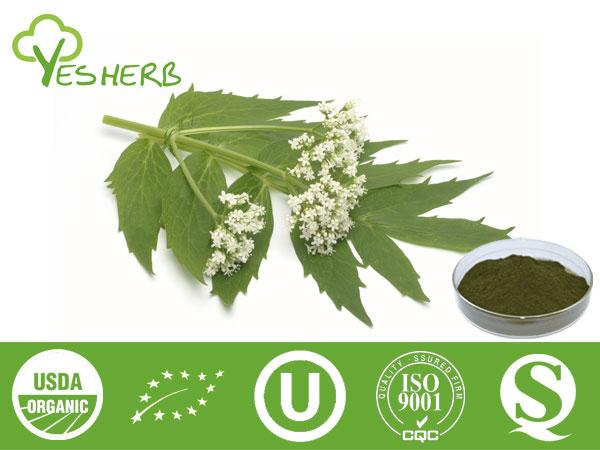 Valeriaan Extract - Valeric Acid 0.4%,0.8%