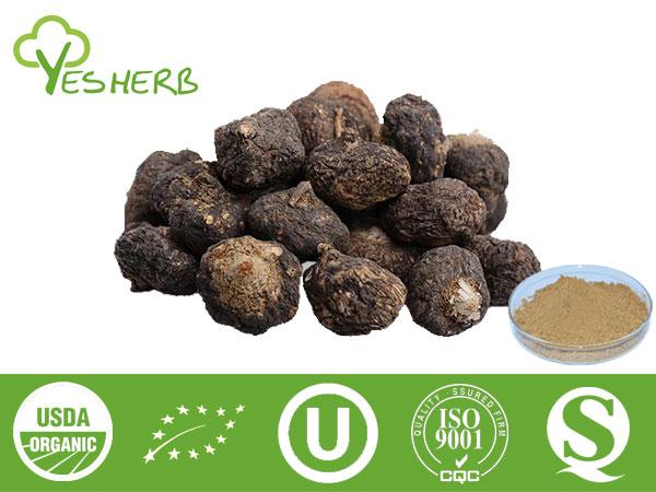 Maca Root Extract - 4:1,5:1