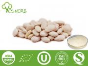 White Kidney Bean Extract