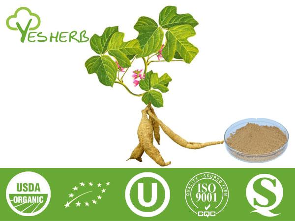 Kudzu Extract - Puerarin 10%-98%, Isoflavones 40%-98%