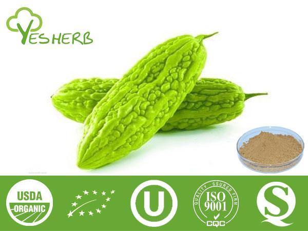 Bitter Melon Extract - charantin 10% 20% 30% 60%