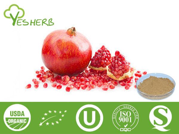 Pomegranate Extract - Polyphenols 40%,45%;Punicalagins 20%-40%;Ellagic Acid 40%-90%