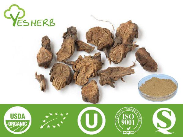 Black Cohosh Extract - Triterpene Glycosides 2.5%, 5%, 8%