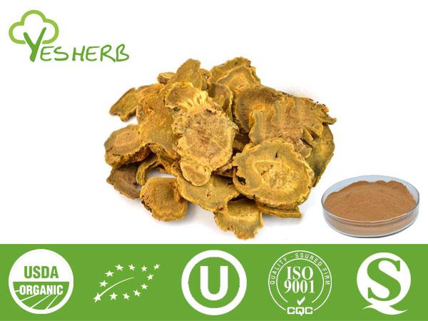 Rabarber Extract - Emodin 50%-98%