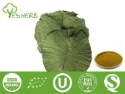 Lotus Leaf Extract