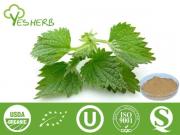 Nettle Root Extract