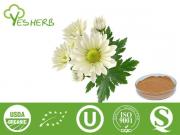 Chrysanthemum Extract