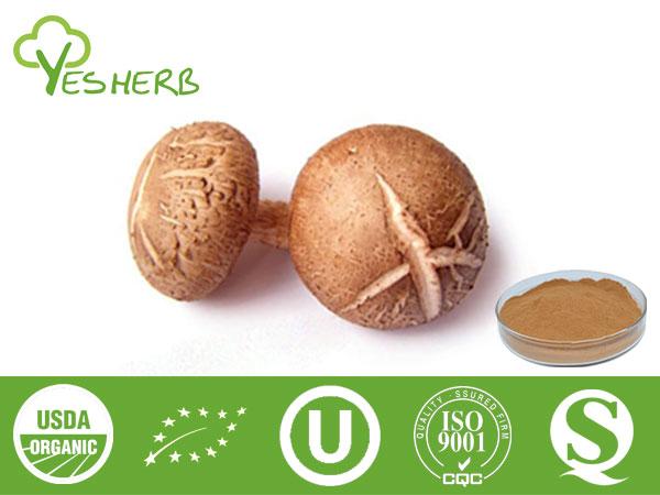 Shiitake Mushroom Extract - Lentinan/Polysaccharides 10%-30%