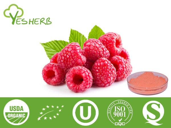 Raspberry Powder - Juice Powder