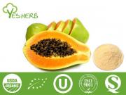 Papaya Powder