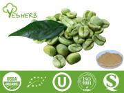 Verde Coffee Bean Extrato