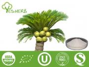 Saw Palmetto Extract