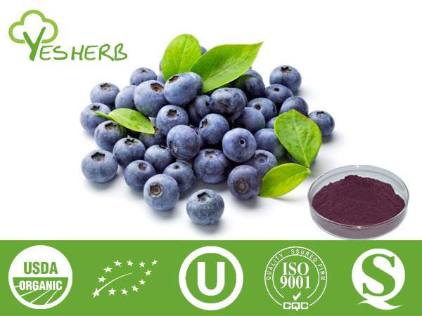 Extrato de mirtilo - Anthocyanin 25%