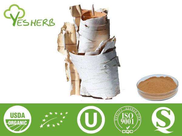 Birch Bark Extract - Betulin 80%-98%, Betulinic Acid 98%