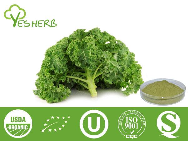 Kale pó - Vegetable Powder