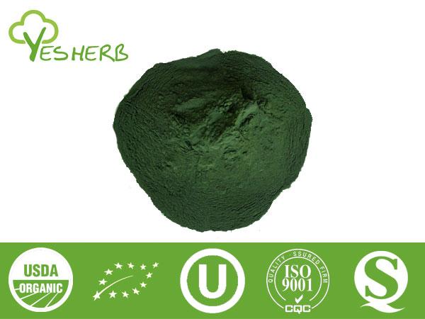 Spirulina em pó - Super Foods