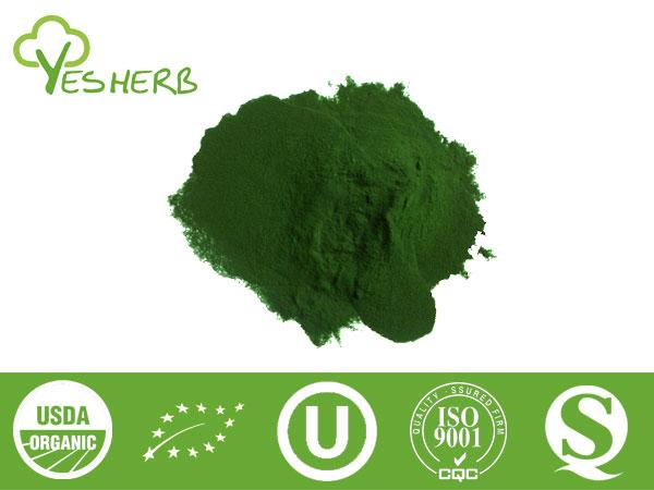 Chlorella em pó - Super Foods